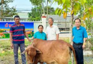 Lễ trao 5 con bê con từ nguồn dự án nuôi bò sinh sản do Công ty TNHH Liên doanh Antraco tài trợ